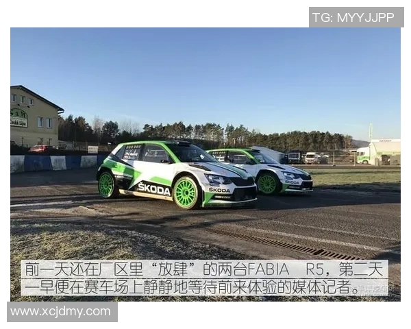 捷克足球明星斯柯达的传奇之路与辉煌成就揭秘